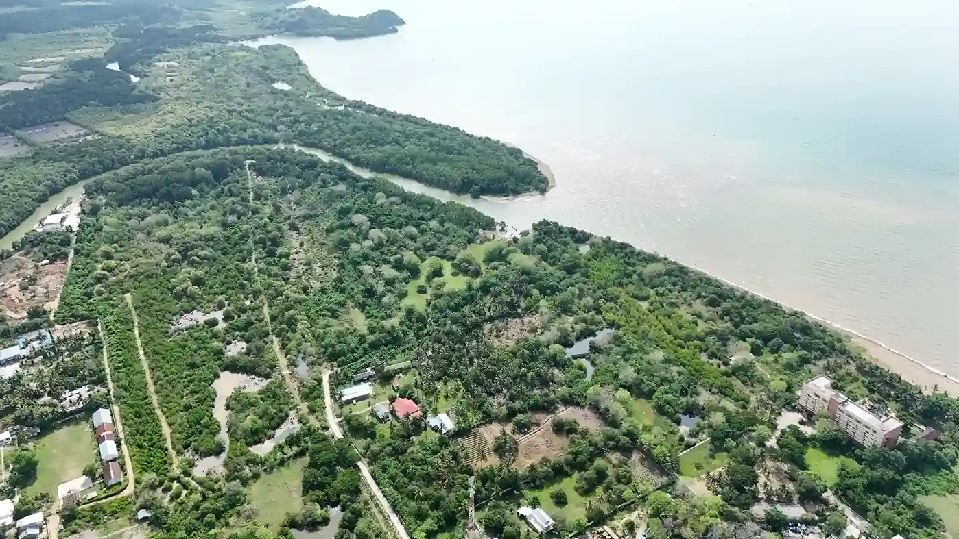 6 Hectares of Land for Sale in Gorontalo | Invest Labuan Bajo