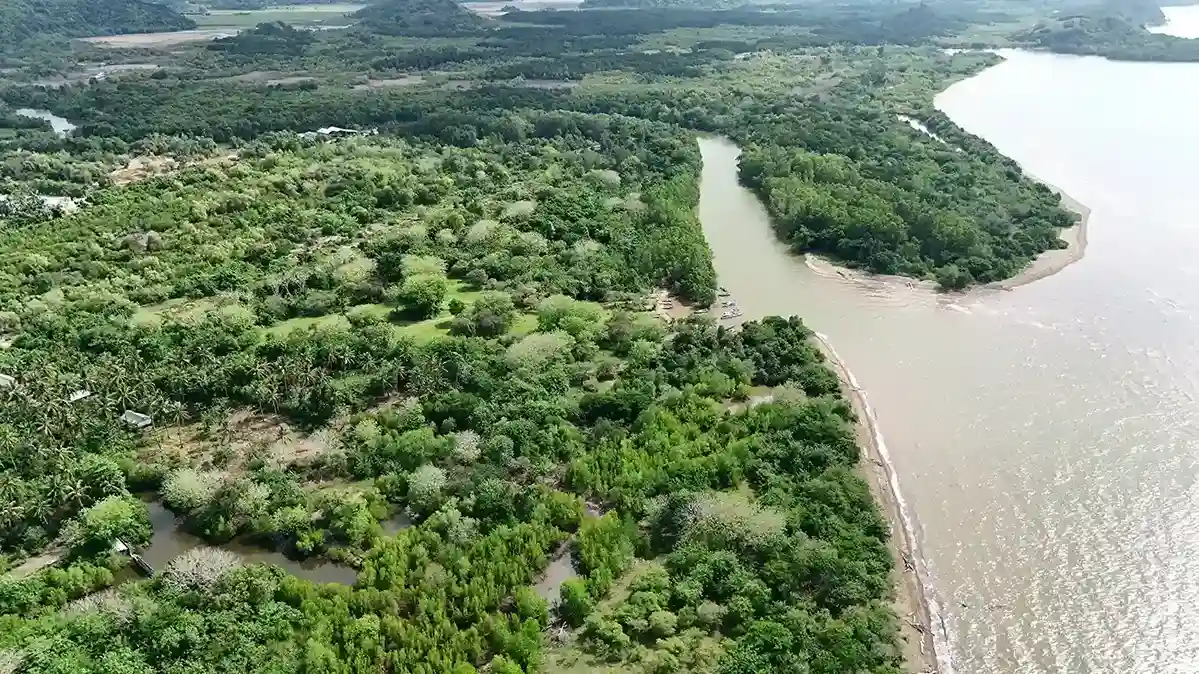 6 Hectares of Land for Sale in Gorontalo | Invest Labuan Bajo