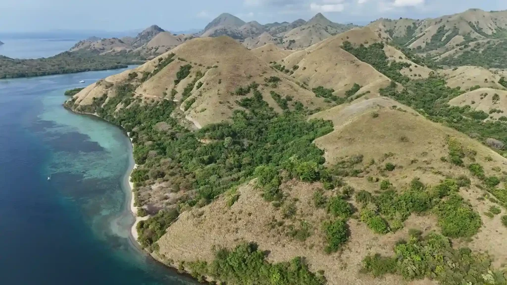 5 Hectare White Sand Beachfront Land in Warloka Komodo – Premium Investment