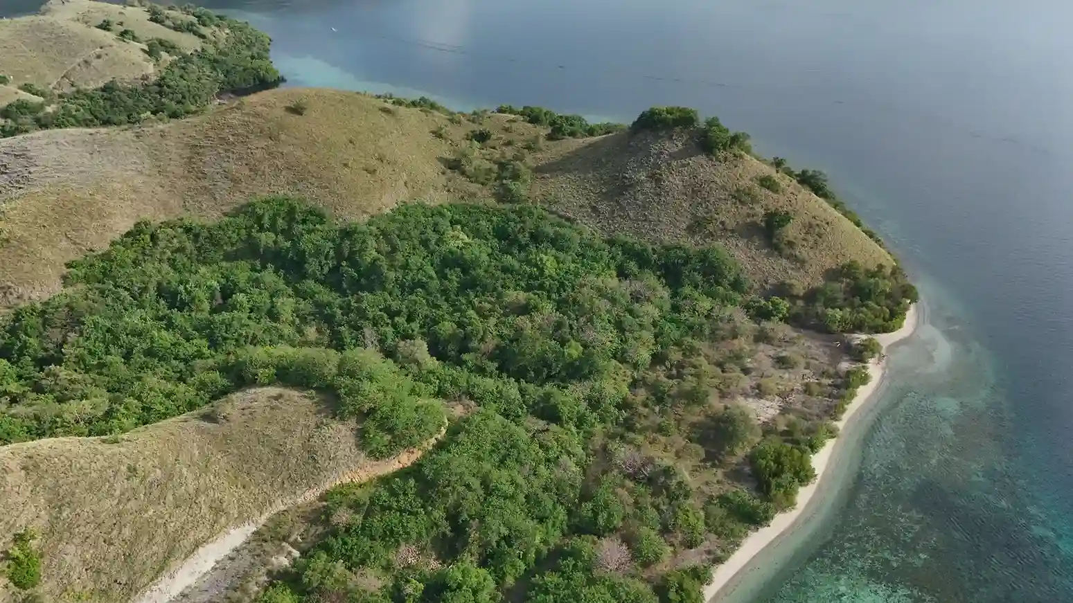 Warloka 5 Hectare | Land for Sale | Invest Labuan Bajo