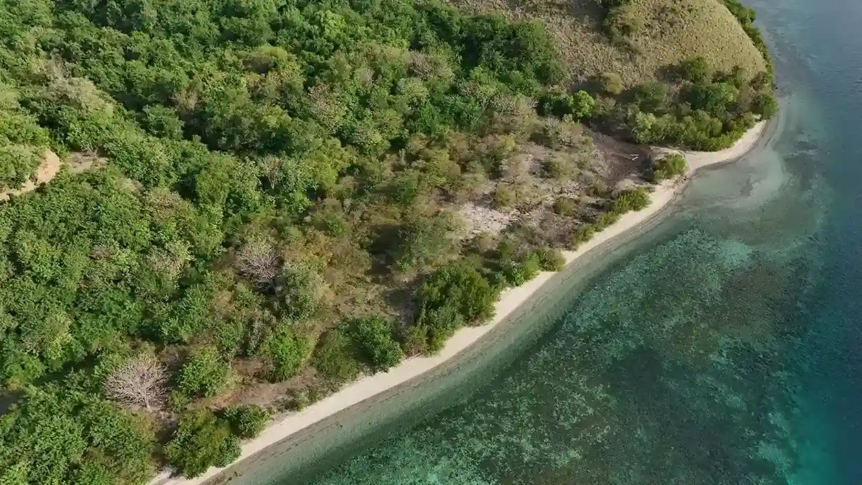 Warloka 5 Hectare | Land for Sale | Invest Labuan Bajo