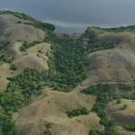Warloka 7 Hectare | Land for Sale | Invest Labuan Bajo