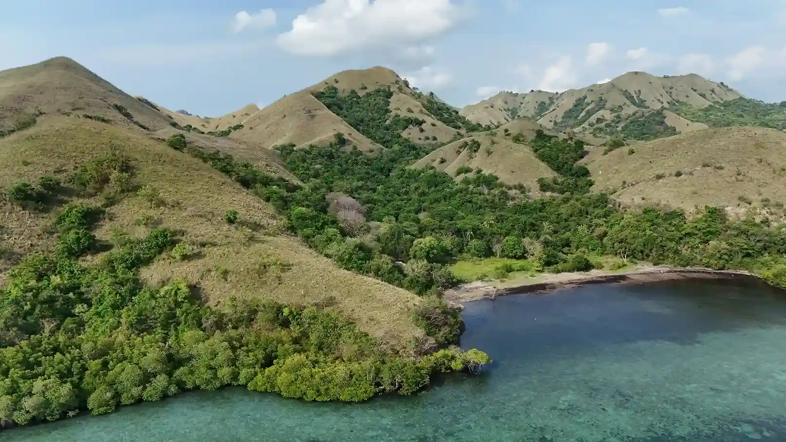 Warloka 7 Hectare | Land for Sale | Invest Labuan Bajo