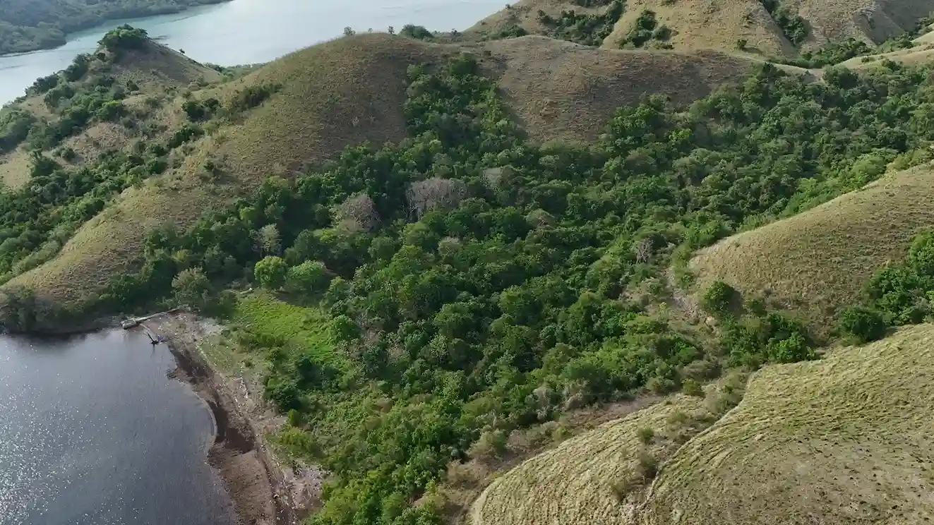 Warloka 7 Hectare | Land for Sale | Invest Labuan Bajo