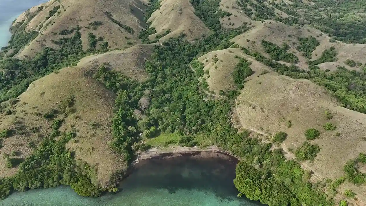 Warloka 7 Hectare | Land for Sale | Invest Labuan Bajo