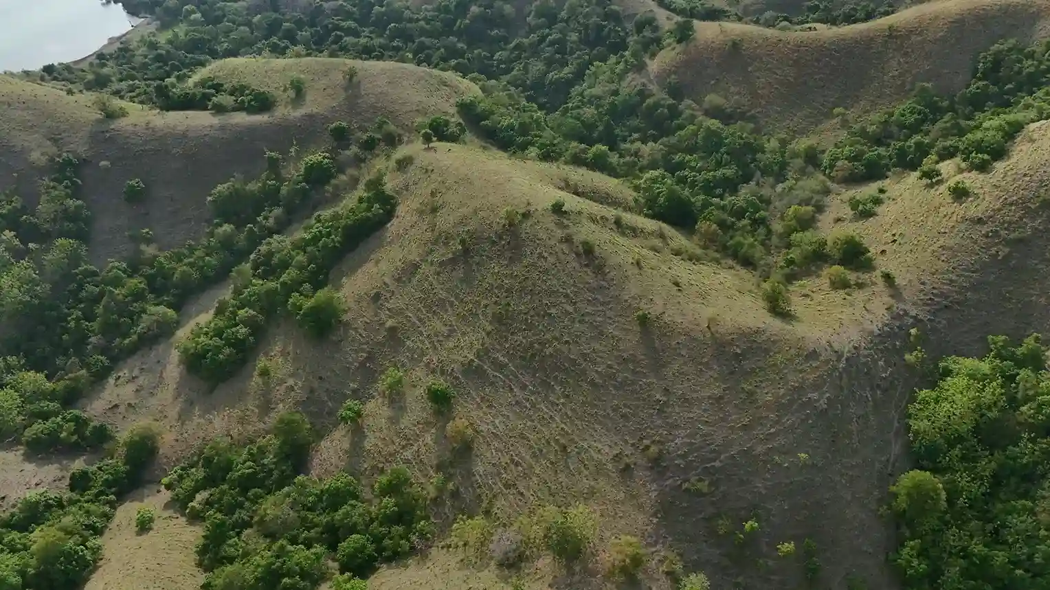 Warloka 2.5 Hectare | Land for Sale | Invest Labuan Bajo