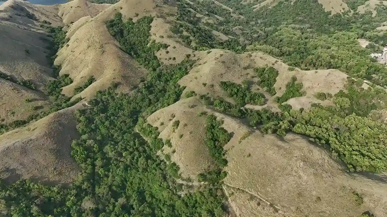 Warloka 2.5 Hectare | Land for Sale | Invest Labuan Bajo