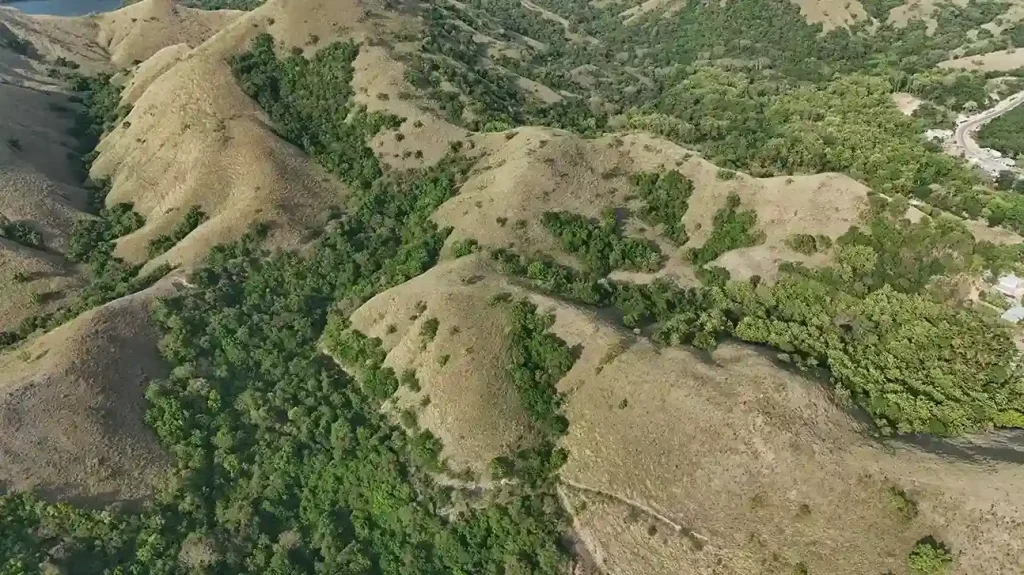 2.5 Hectare Beachfront Land in Warloka Komodo – Prime Investment