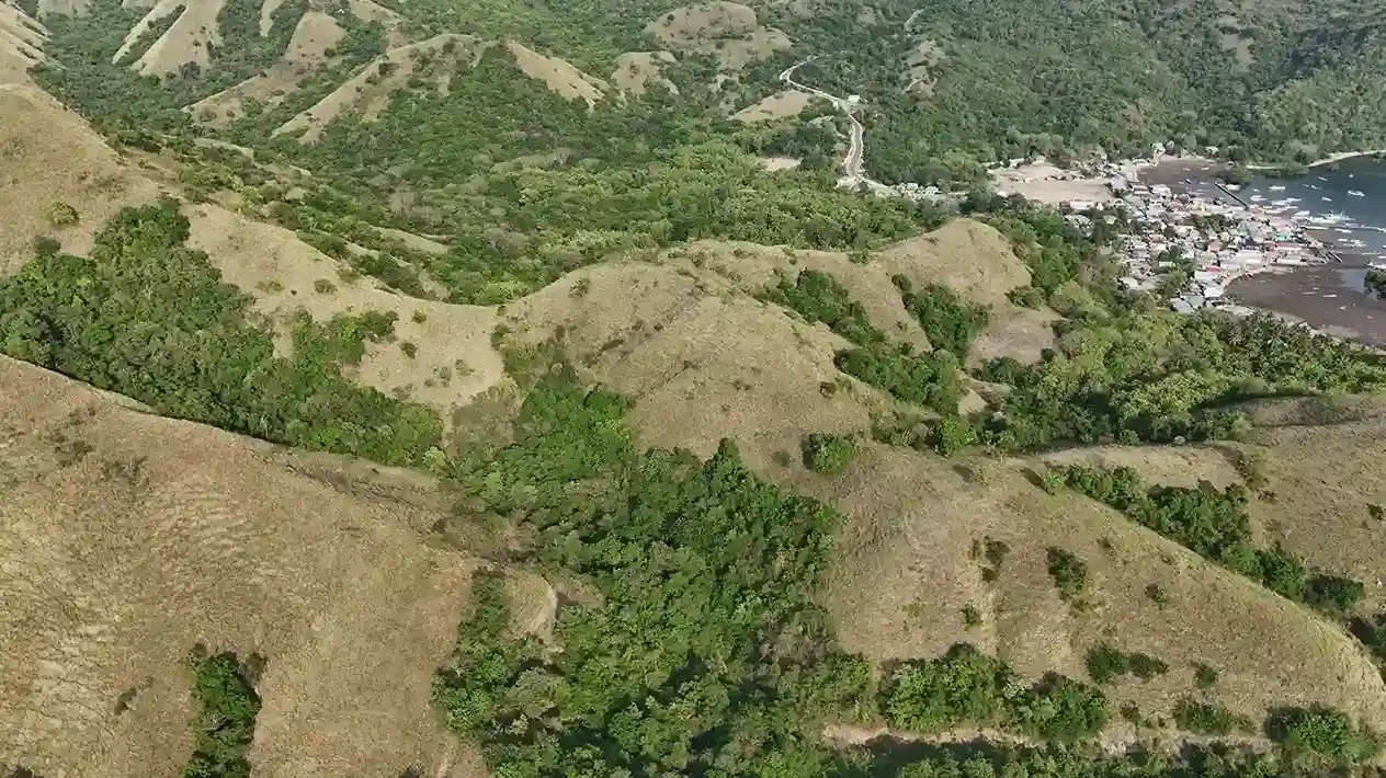 Warloka 2.5 Hectare | Land for Sale | Invest Labuan Bajo