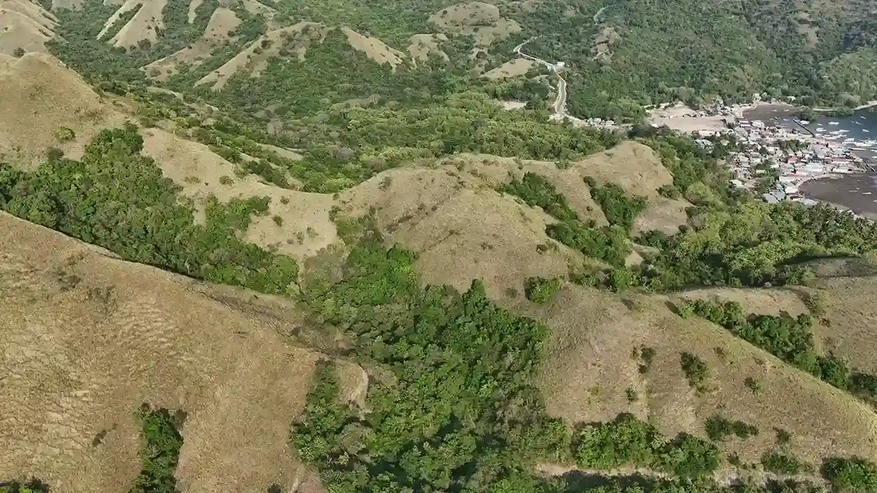 Warloka 2.5 Hectare | Land for Sale | Invest Labuan Bajo