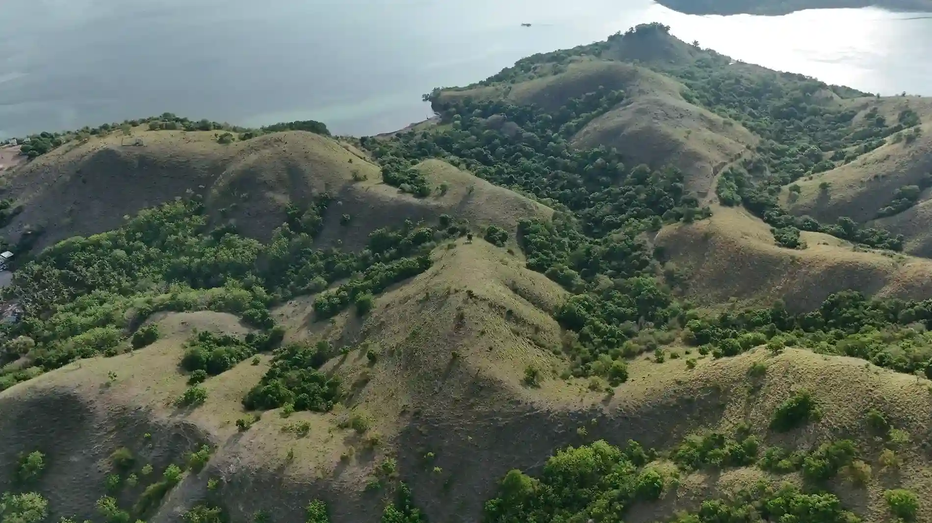 Warloka 2.5 Hectare | Land for Sale | Invest Labuan Bajo