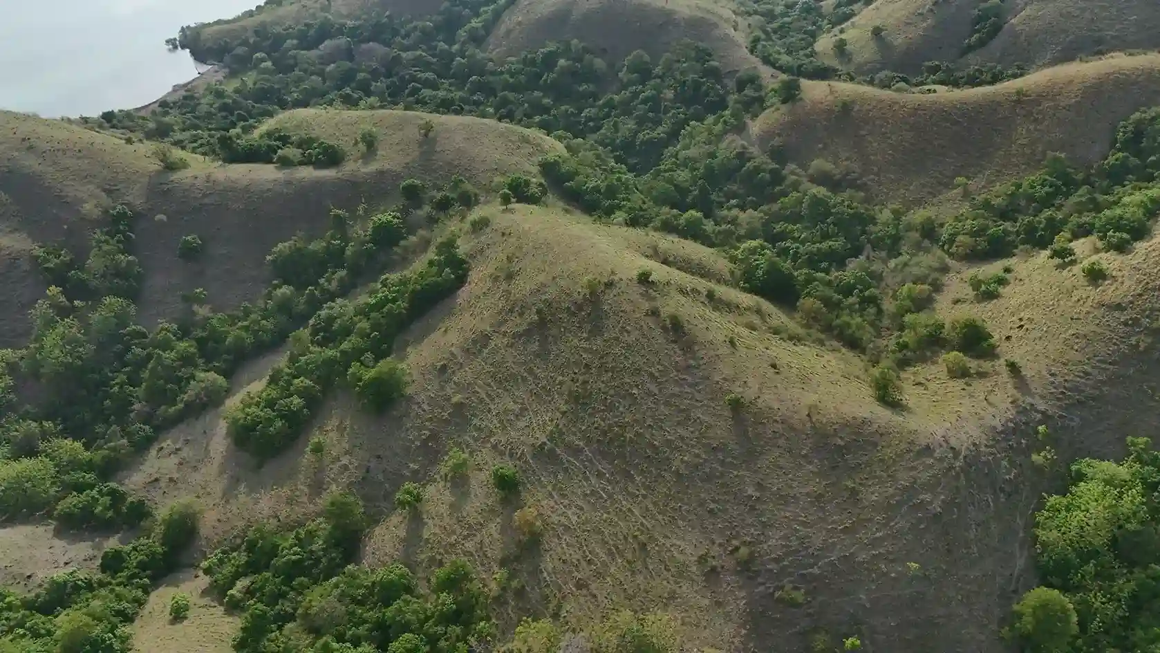 Warloka 2.5 Hectare | Land for Sale | Invest Labuan Bajo