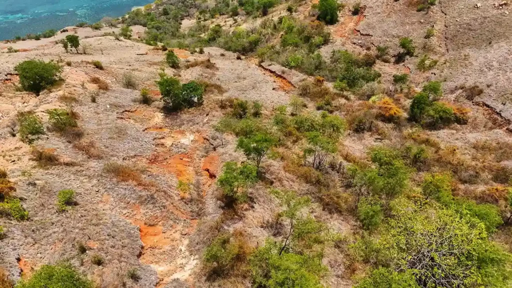 Batu Gosok 2.5 Hectare | Land for Sale | Invest Labuan Bajo