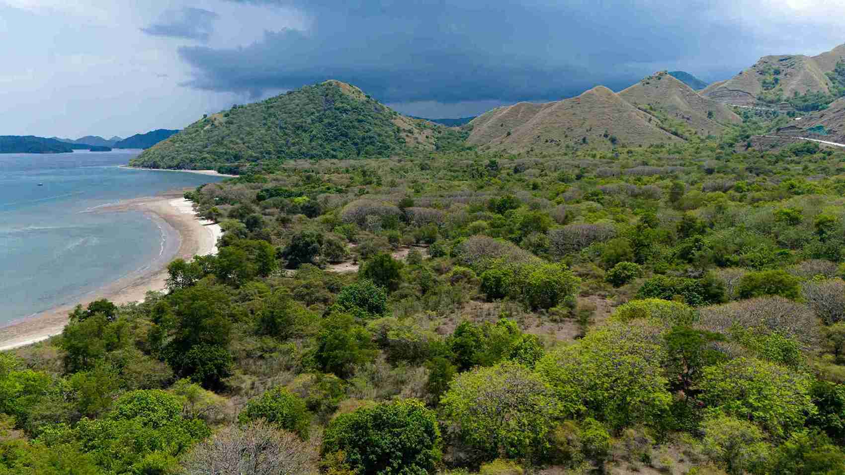 Golomori 13 Hectare | Land for Sale | Invest Labuan Bajo