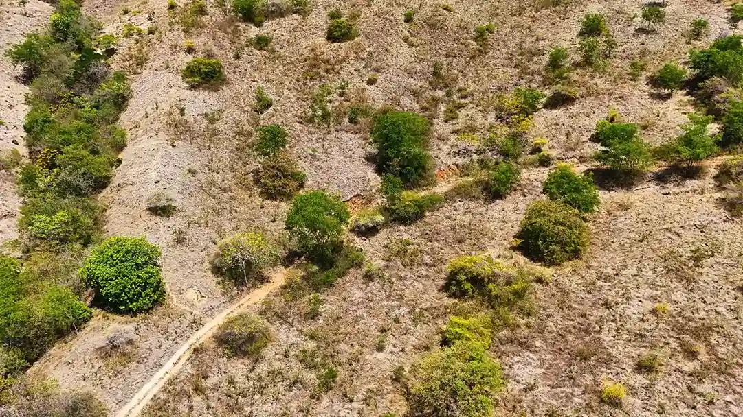 Lohmbongi 14 Hectare | Land for Sale | Invest Labuan Bajo