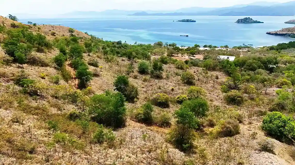 Lohmbongi 14 Hectare | Land for Sale | Invest Labuan Bajo