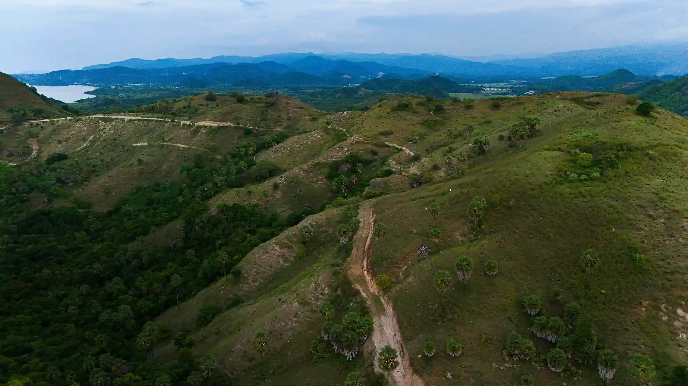 Macang Tanggar 30 Hectares | Land for Sale | Invest Labuan Bajo