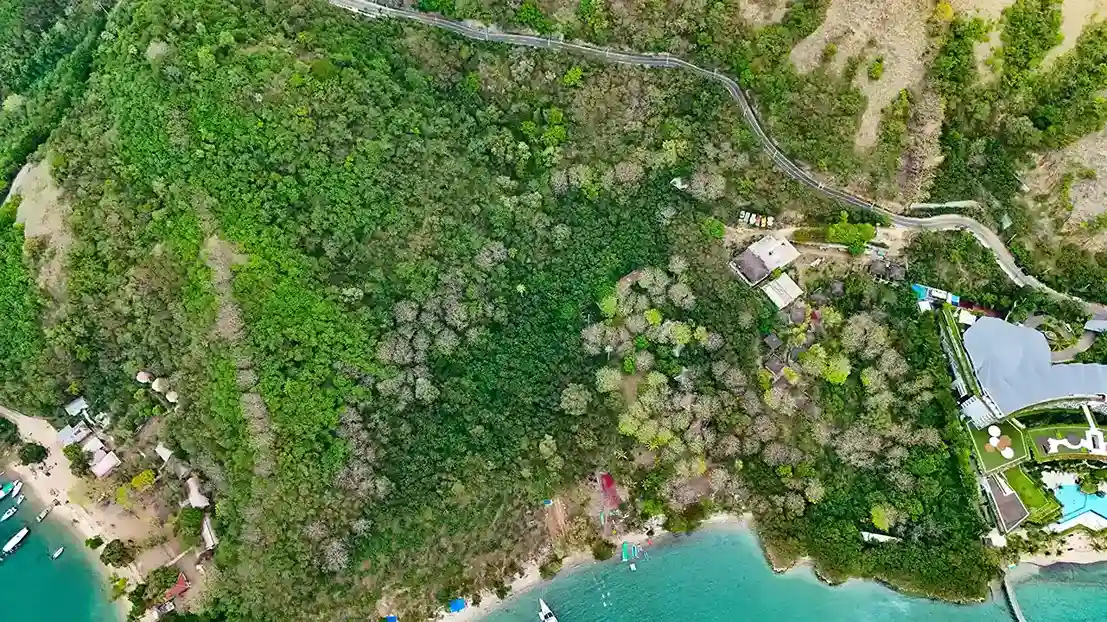 Wae Cicu 2.2 Hectare | Land for Sale | Invest Labuan Bajo