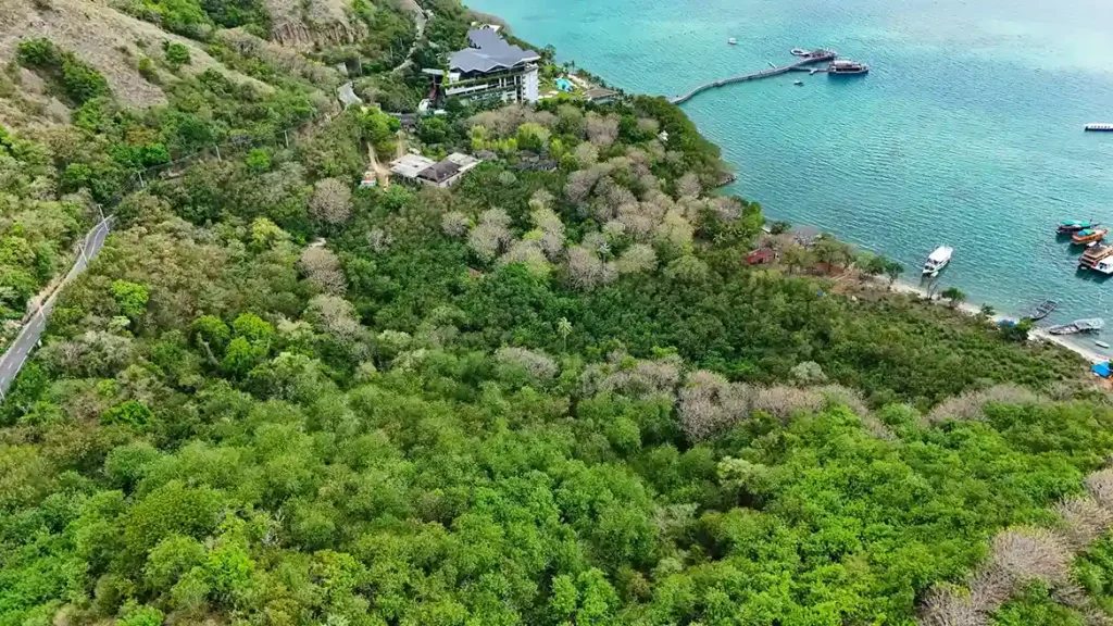 Wae Cicu 2.2 Hectare | Land for Sale | Invest Labuan Bajo Wae Cicu 2.2 Hectare | Land for Sale | Invest Labuan Bajo