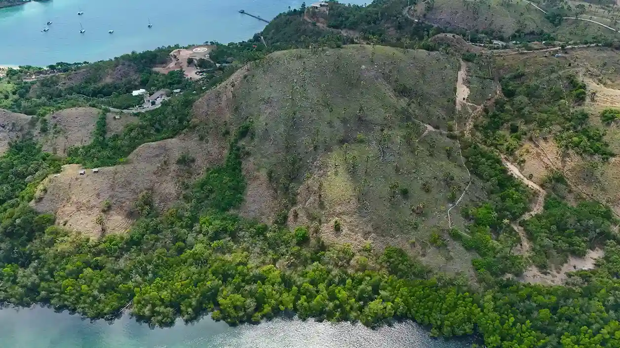 Wae Cicu 5 Hectare | Land for Sale | Invest Labuan Bajo