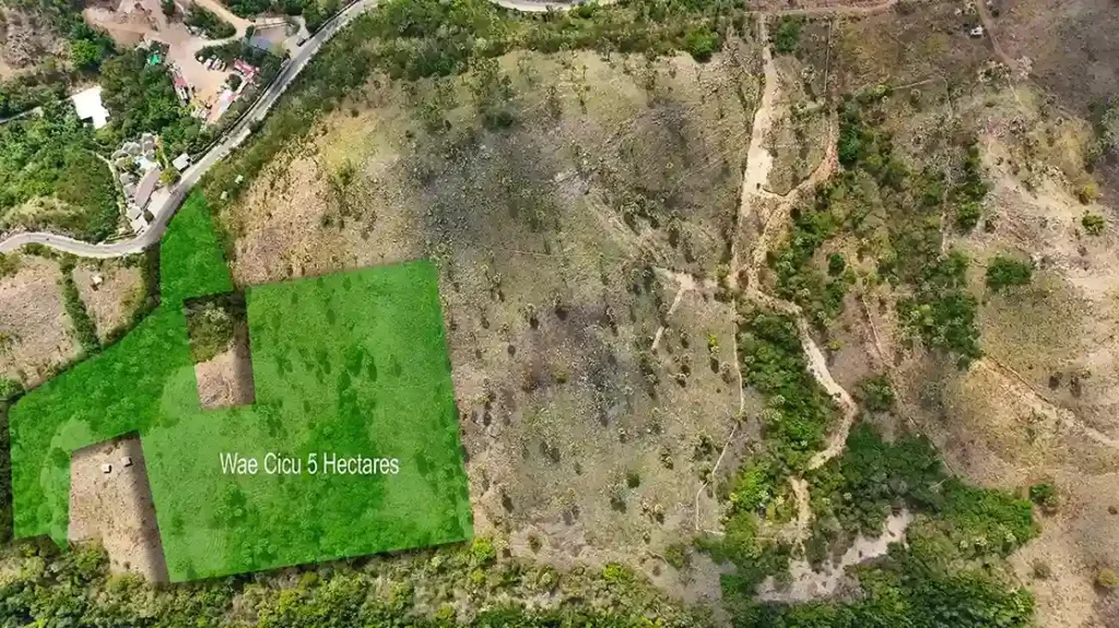 5 Hectares of Ocean View Land in Wae Cicu Luxury Resort Zone