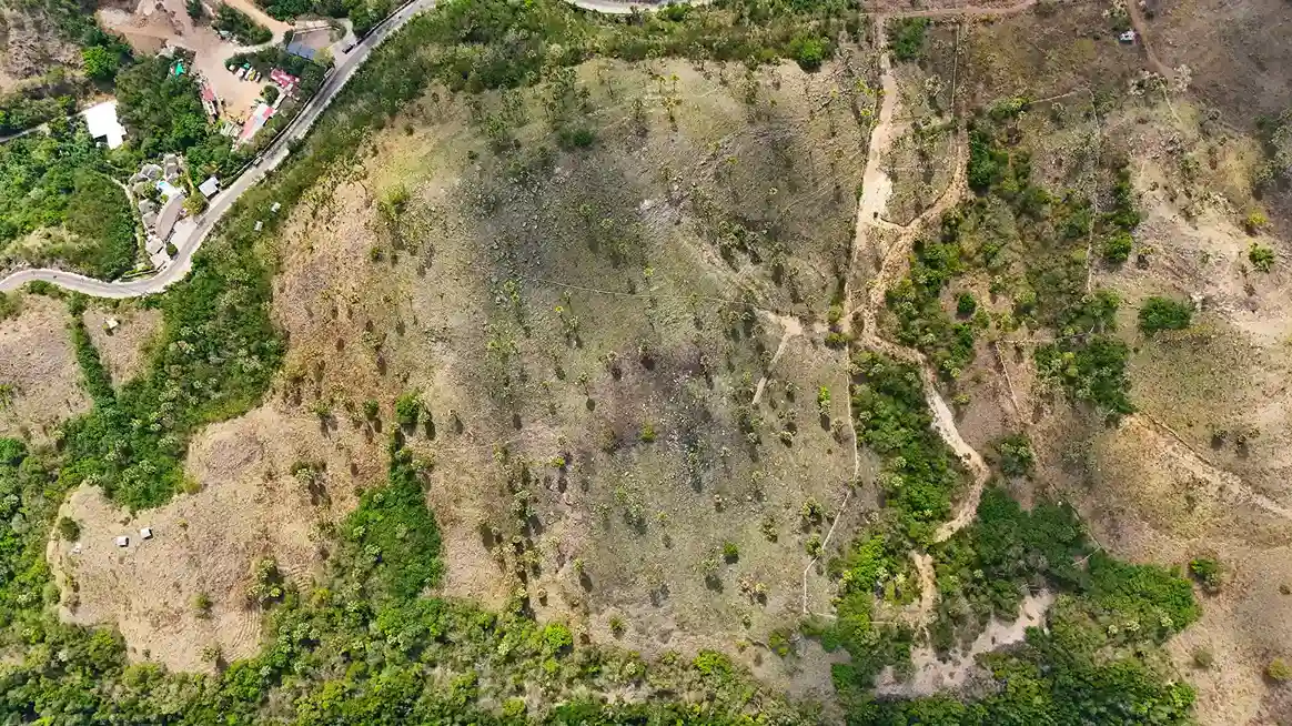 Wae Cicu 5 Hectare | Land for Sale | Invest Labuan Bajo