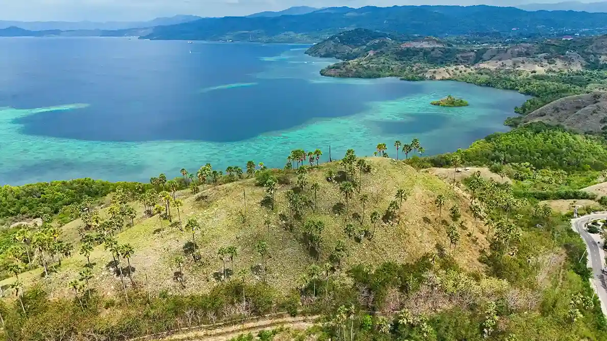 Wae Cicu 5 Hectare | Land for Sale | Invest Labuan Bajo