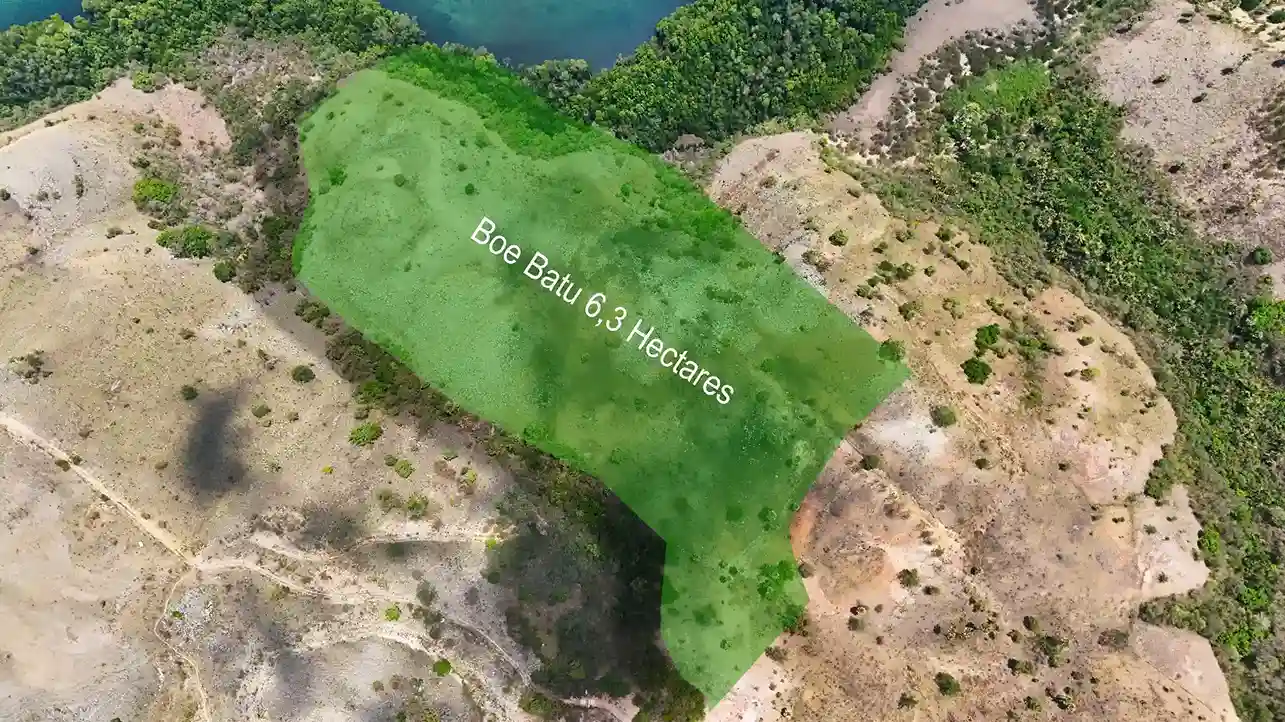 Boe Batu 6.3 Hectare | Land for Sale | Invest Labuan Bajo