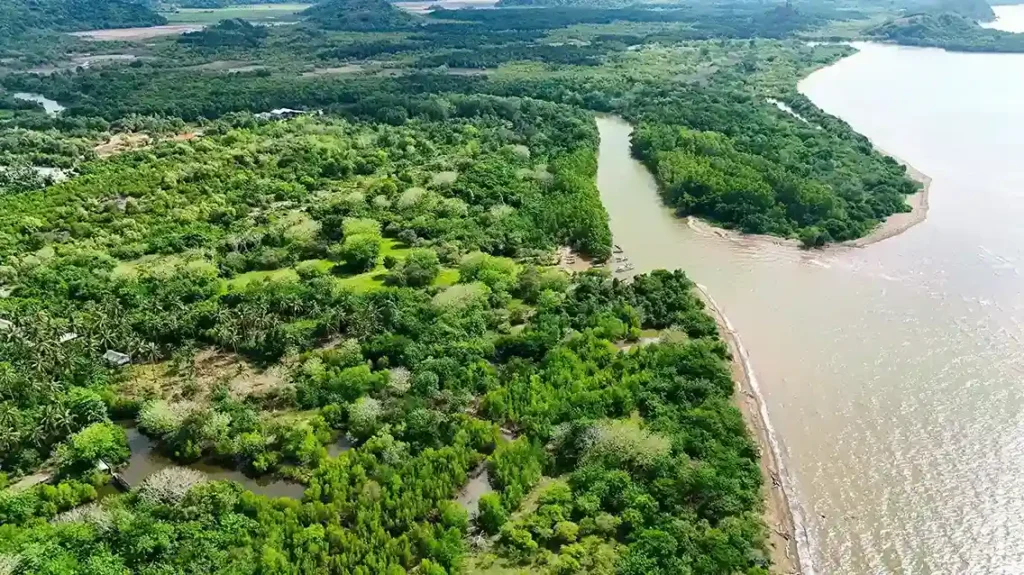 Gorontalo 5 Hectare | Land for Sale | Invest Labuan Bajo