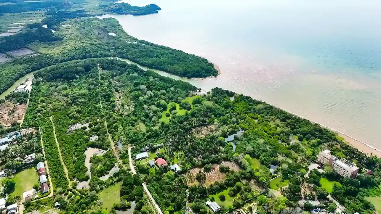 Gorontalo 5 Hectare | Land for Sale | Invest Labuan Bajo