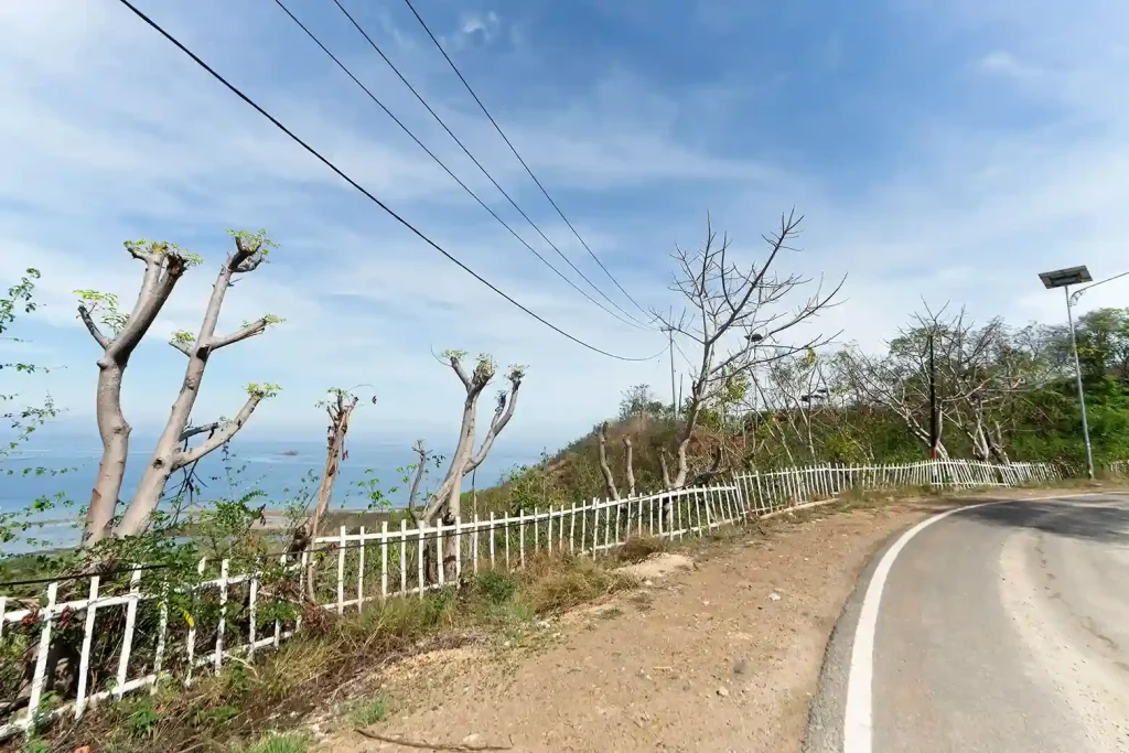 Karanga 11 Hectare | Land for Sale | Invest Labuan Bajo