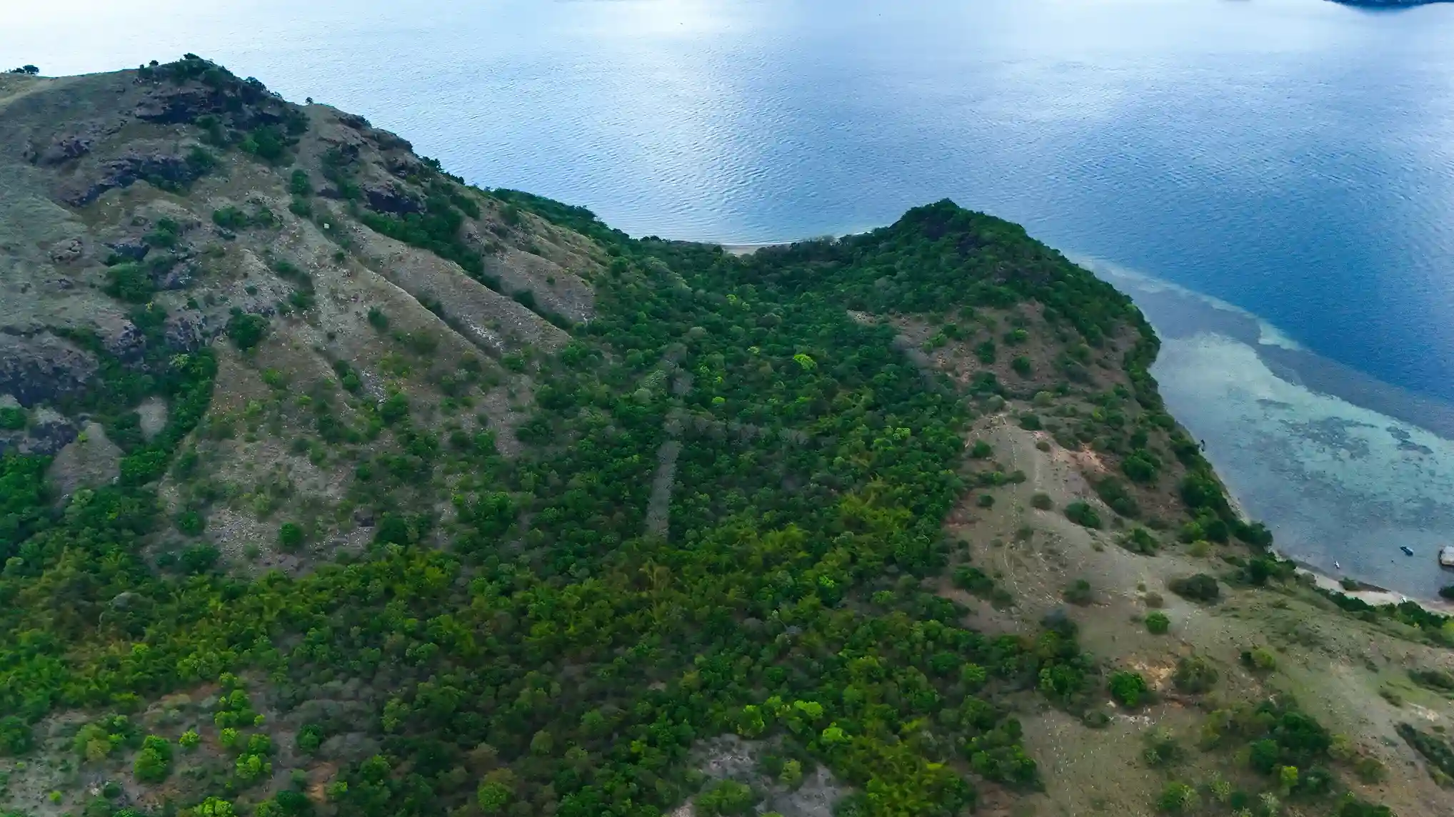 Lenteng 13 Hectare | Land for Sale | Invest Labuan Bajo