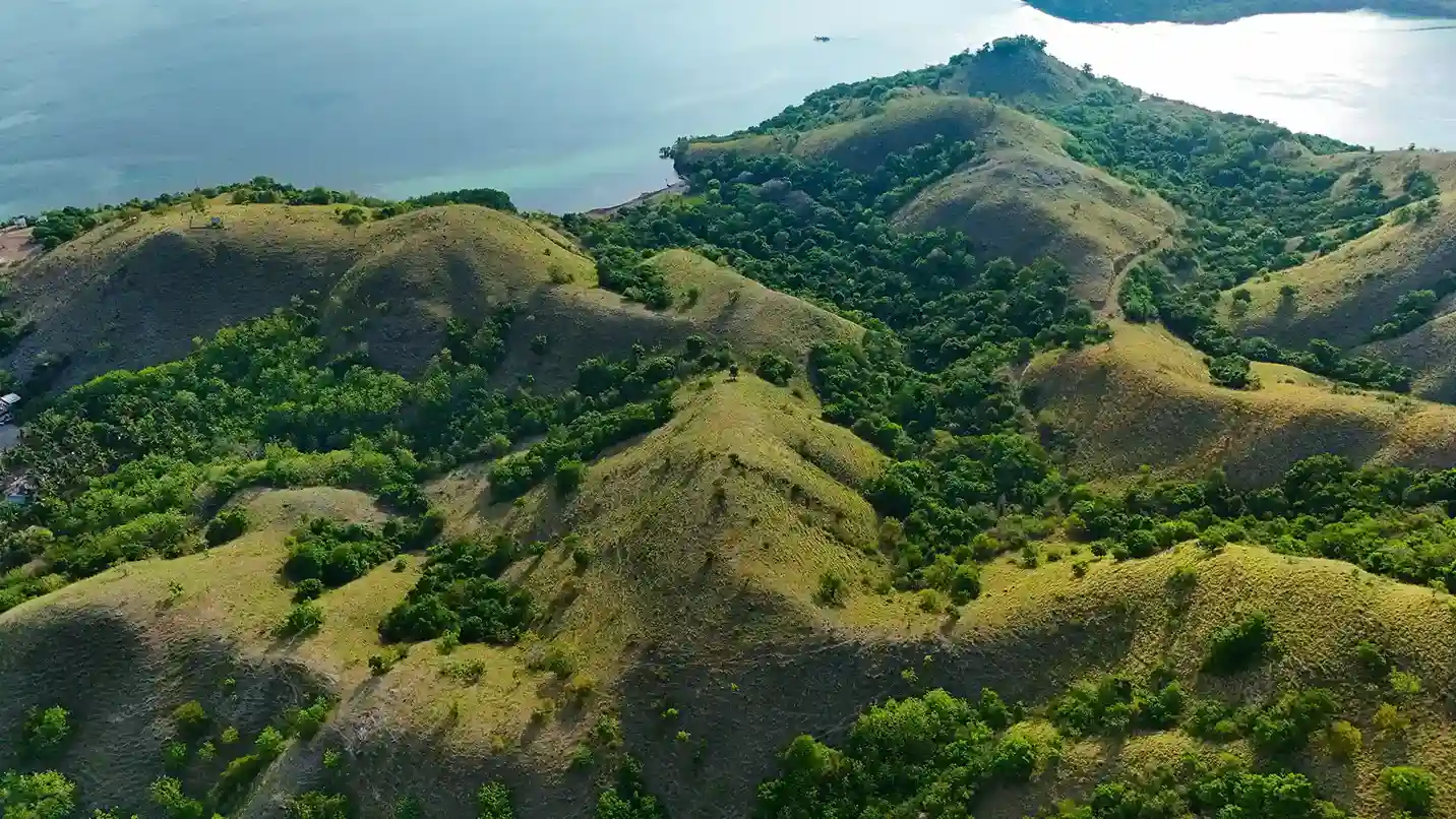 Warloka 2.5 Hectare | Land for Sale | Invest Labuan Bajo