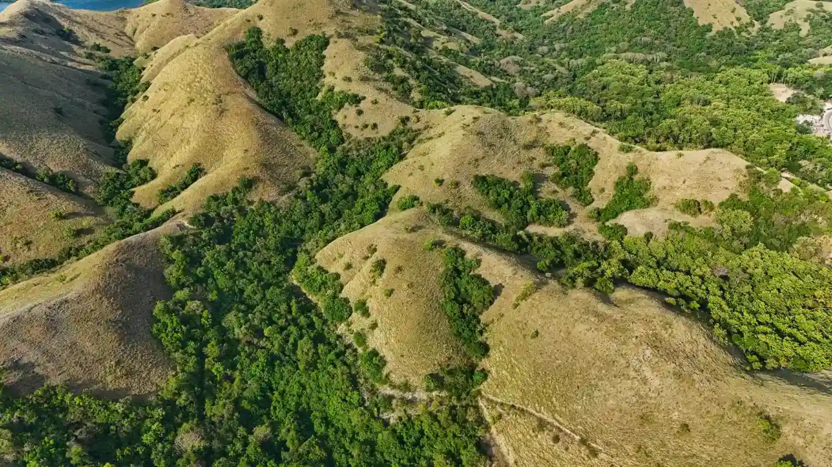 Warloka 2.5 Hectare | Land for Sale | Invest Labuan Bajo