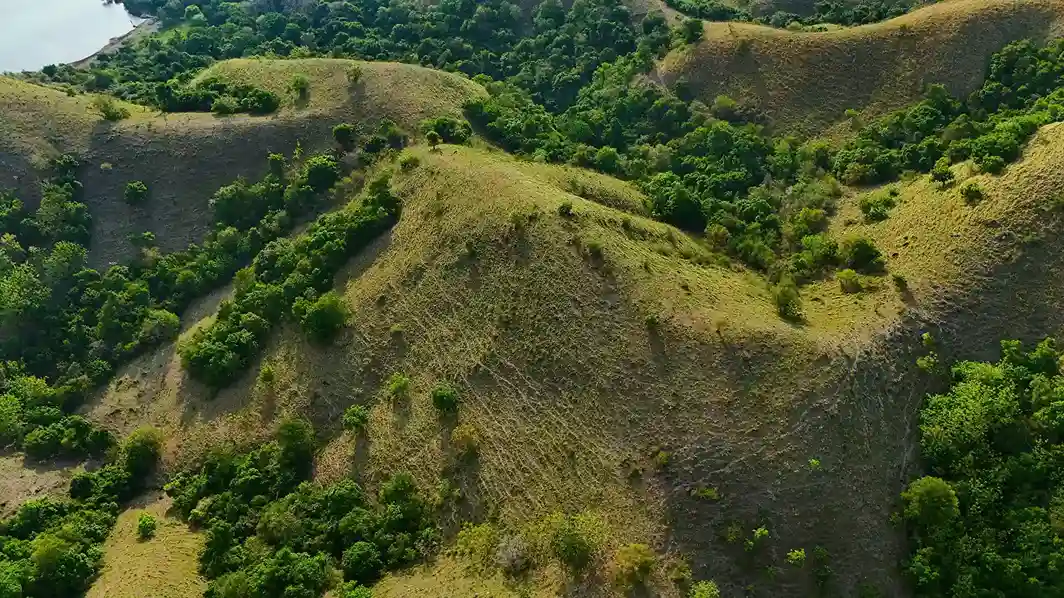 Warloka 2.5 Hectare | Land for Sale | Invest Labuan Bajo