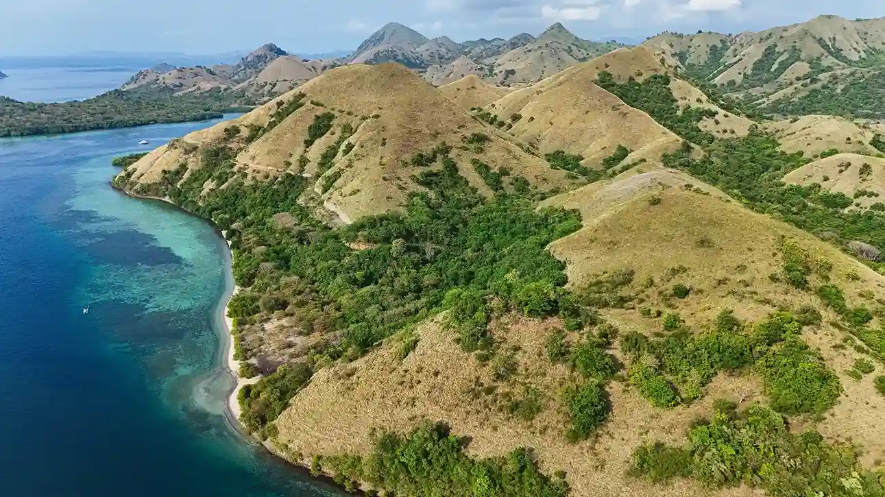 Warloka 5 Hectare | Land for Sale | Invest Labuan Bajo