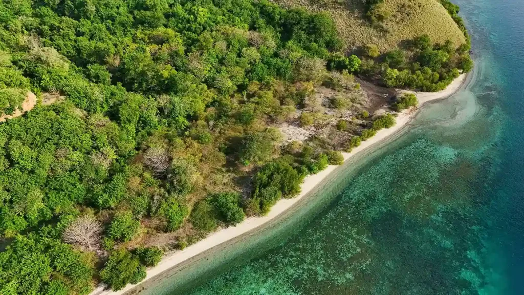 Warloka 5 Hectare | Land for Sale | Invest Labuan Bajo