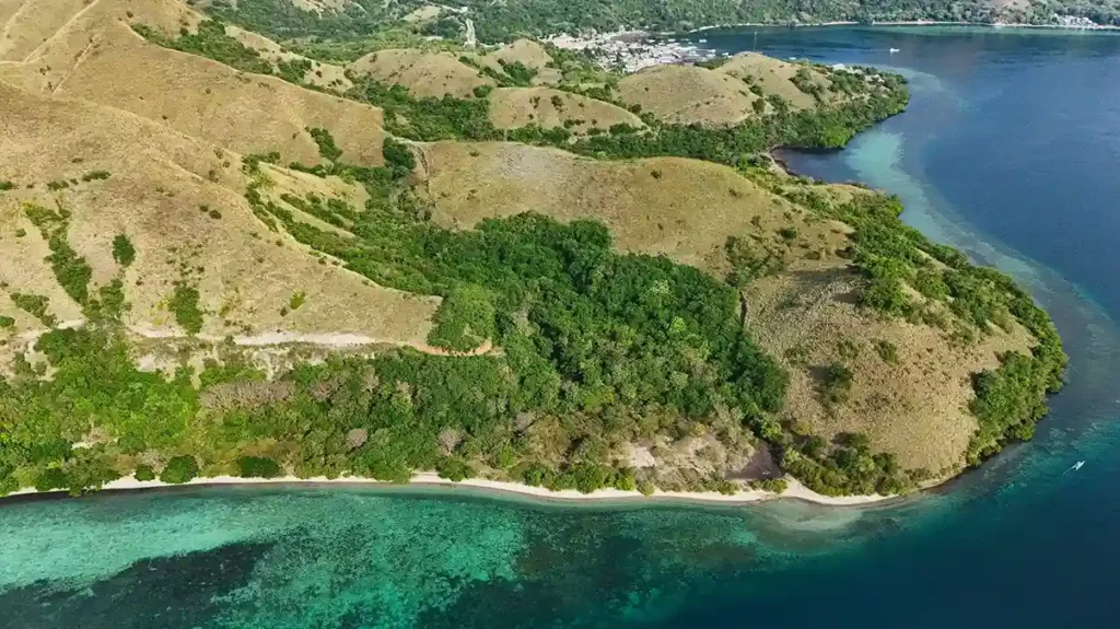 Warloka 5 Hectare | Land for Sale | Invest Labuan Bajo Warloka 5 Hectare | Land for Sale | Invest Labuan Bajo