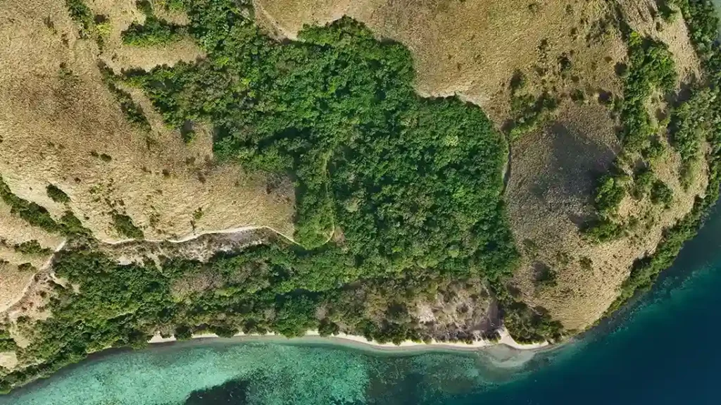 Warloka 5 Hectare | Land for Sale | Invest Labuan Bajo