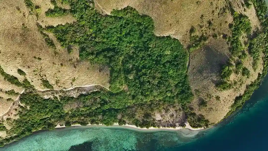 Warloka 5 Hectare | Land for Sale | Invest Labuan Bajo