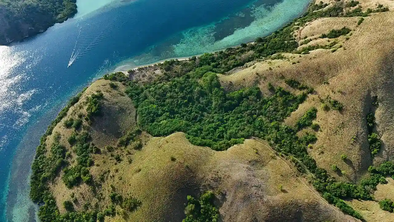 Warloka 5 Hectare | Land for Sale | Invest Labuan Bajo