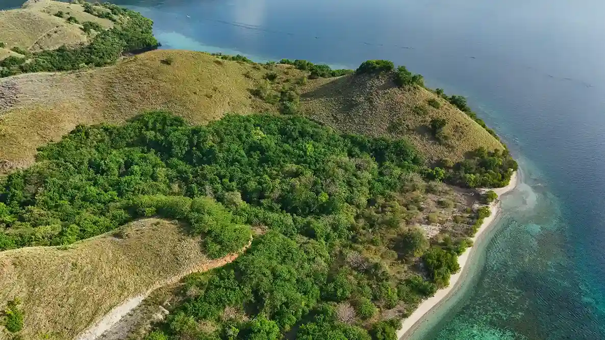 Warloka 5 Hectare | Land for Sale | Invest Labuan Bajo