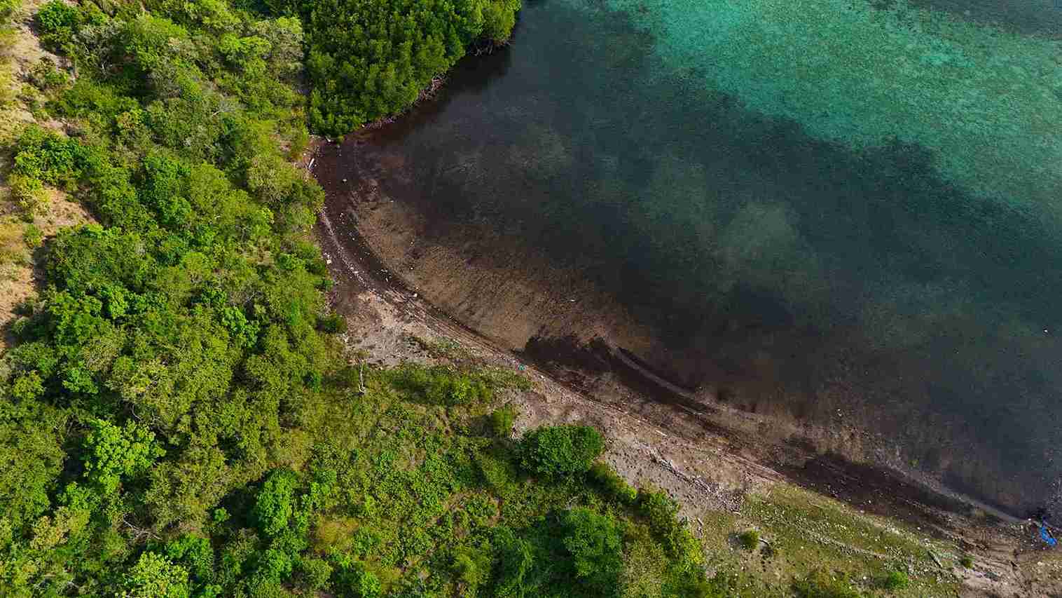 Warloka 7 Hectare | Land for Sale | Invest Labuan Bajo