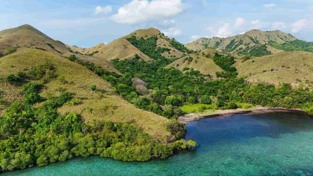Warloka 7 Hectare | Land for Sale | Invest Labuan Bajo Warloka 7 Hectare | Land for Sale | Invest Labuan Bajo