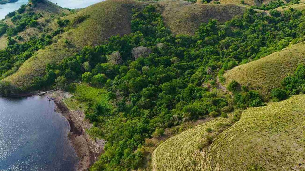 Warloka 7 Hectare | Land for Sale | Invest Labuan Bajo Warloka 7 Hectare | Land for Sale | Invest Labuan Bajo
