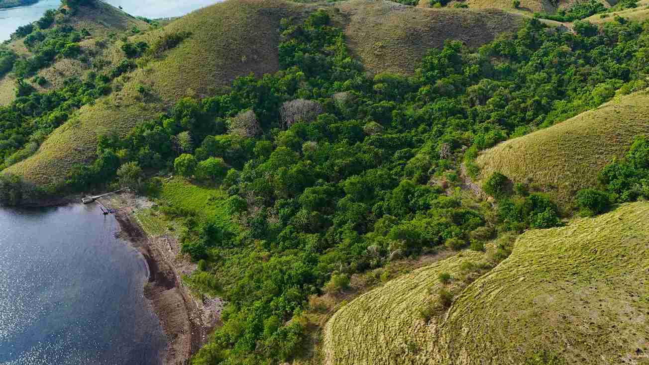 Warloka 7 Hectare | Land for Sale | Invest Labuan Bajo