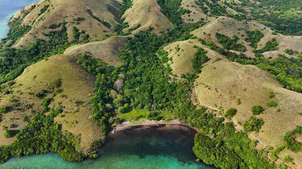 Warloka 7 Hectare | Land for Sale | Invest Labuan Bajo Warloka 7 Hectare | Land for Sale | Invest Labuan Bajo