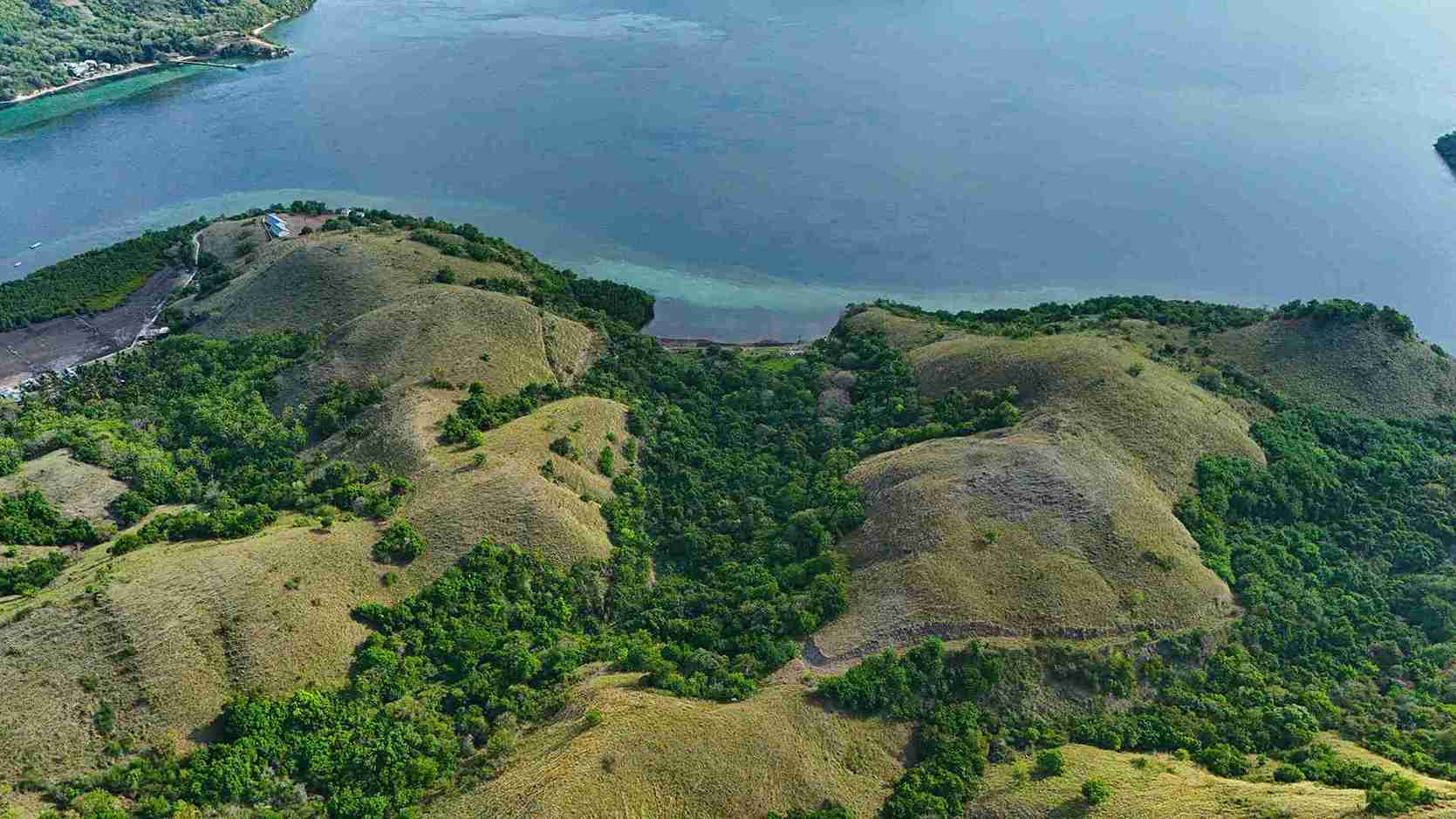 Warloka 7 Hectare | Land for Sale | Invest Labuan Bajo